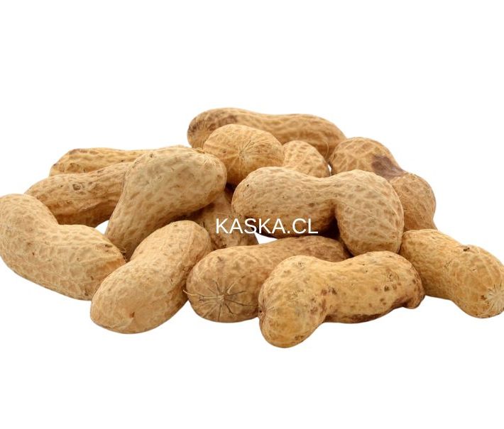 Maní con cáscara