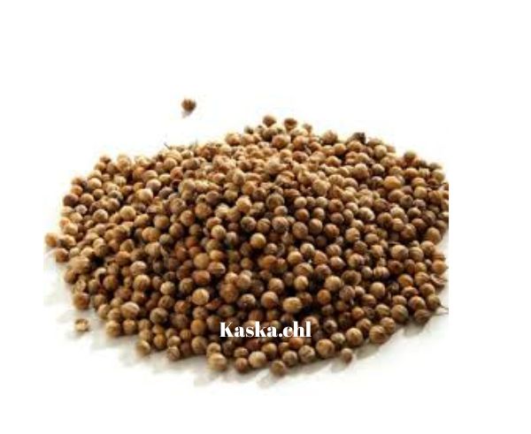 Cilantro entero