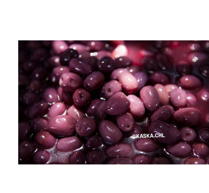 Aceituna Amargas (Azapa)