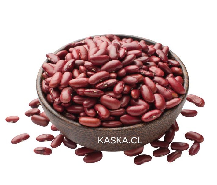 Poroto Rojo